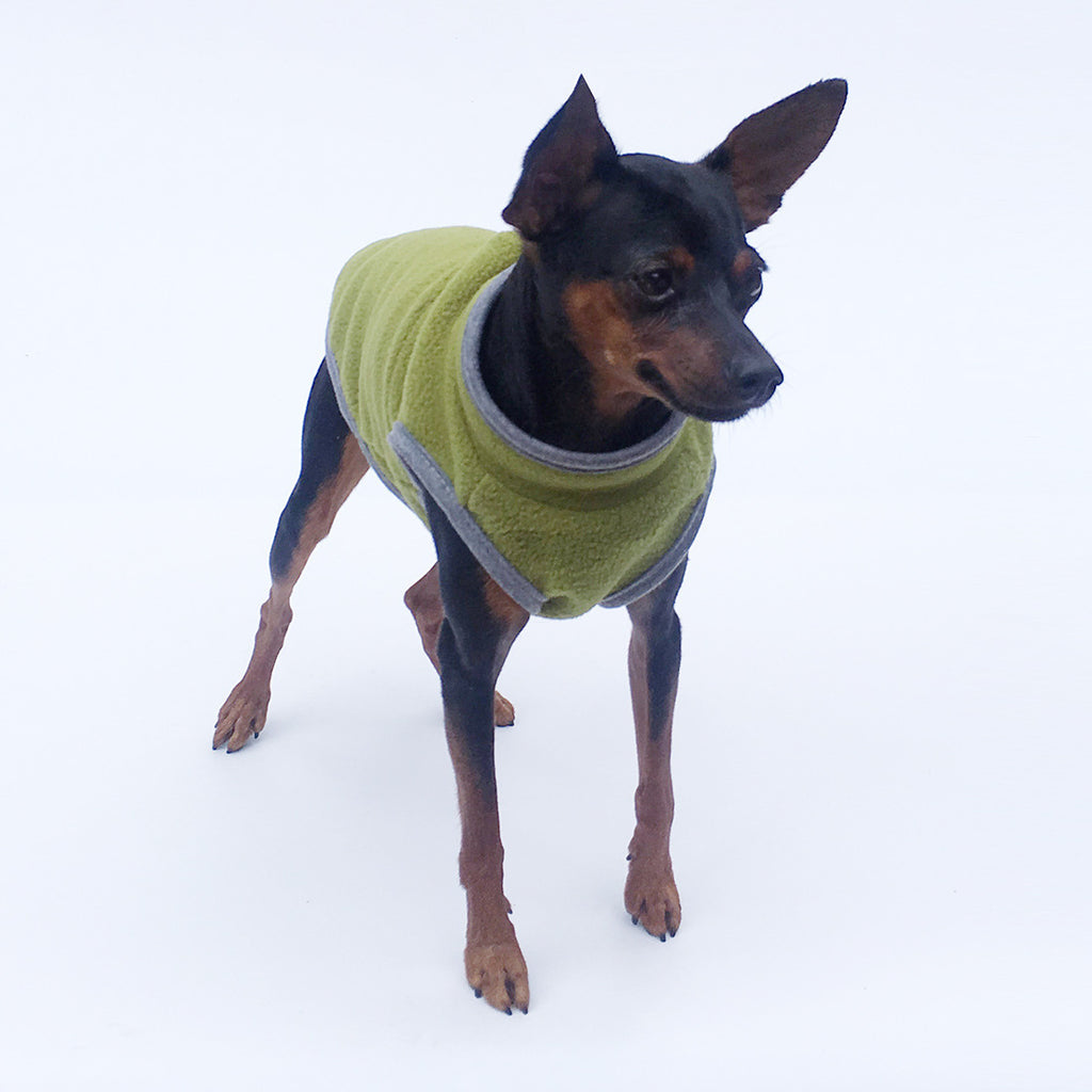 Deer Dog Special Clothes
