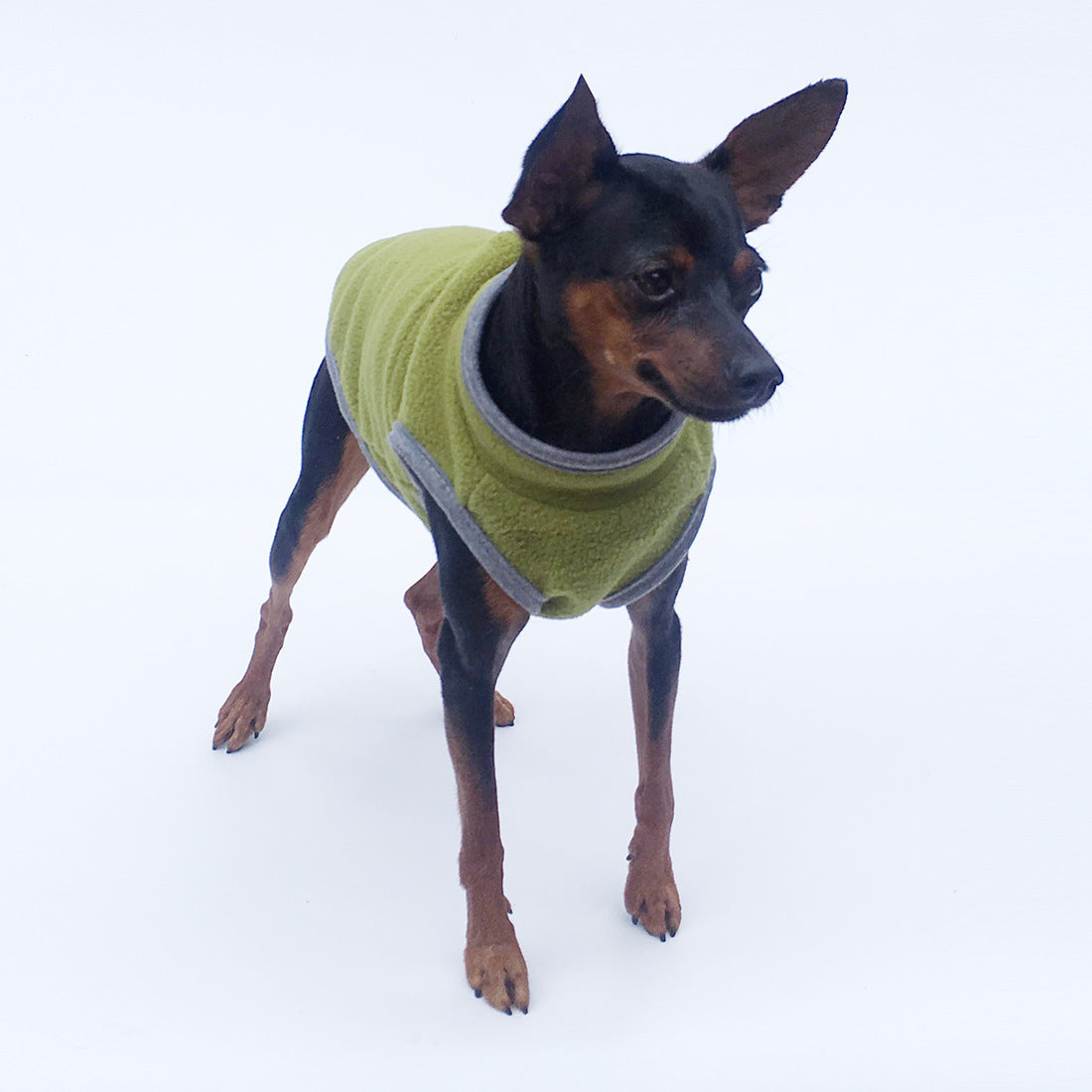 Deer Dog Special Clothes