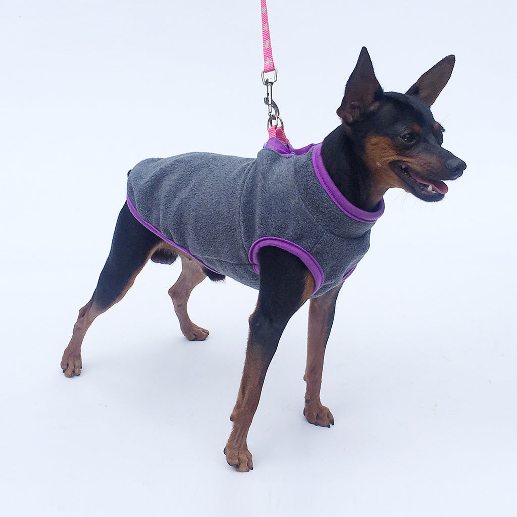 Deer Dog Special Clothes