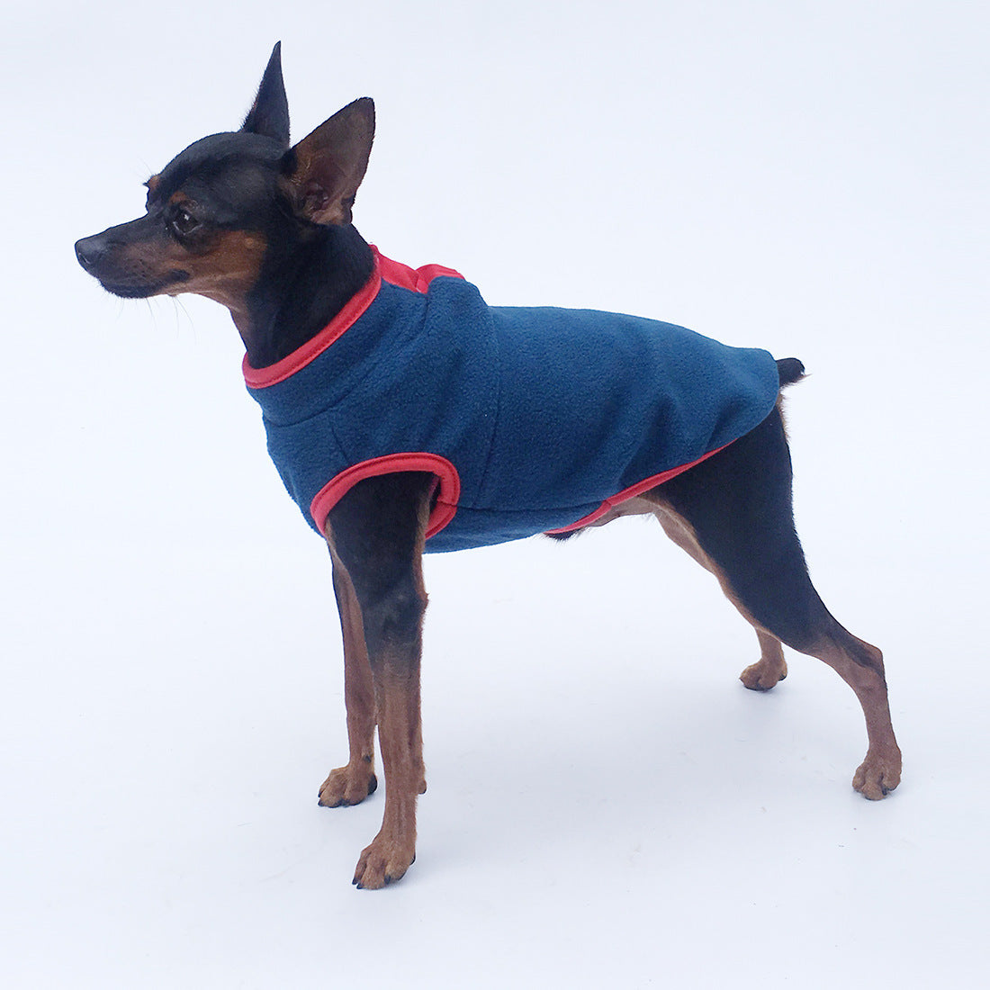 Deer Dog Special Clothes