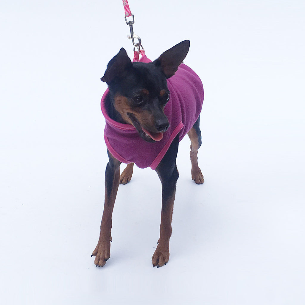 Deer Dog Special Clothes