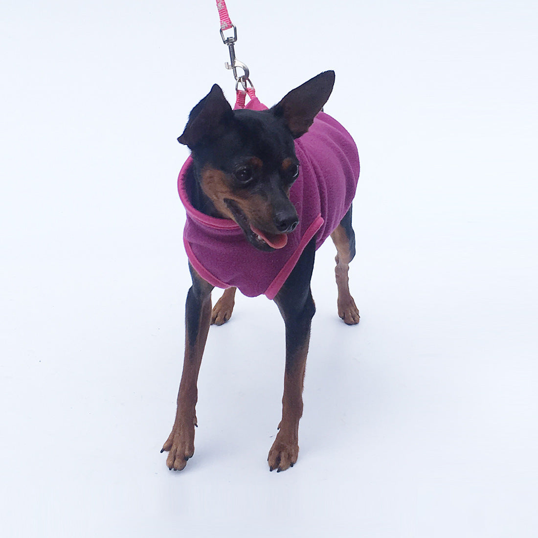 Deer Dog Special Clothes